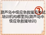 葫芦岛中级应急救援员考试培训机构哪里找(葫芦岛中级应急救援培训)