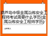 葫芦岛中级金属冶炼安全工程师考试需要什么学历(金属冶炼安全工程师学历)