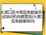 大渡口区中级应急救援员考试培训机构哪里找(大渡口应急救援培训)