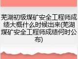 芜湖初级煤矿安全工程师成绩大概什么时候出来(芜湖煤矿安全工程师成绩何时公布)