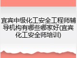 宜宾中级化工安全工程师辅导机构有哪些哪家好(宜宾化工安全师培训)