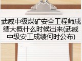 武威中级煤矿安全工程师成绩大概什么时候出来(武威中级安工成绩何时公布)