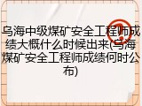 乌海中级煤矿安全工程师成绩大概什么时候出来(乌海煤矿安全工程师成绩何时公布)