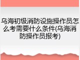 乌海初级消防设施操作员怎么考需要什么条件(乌海消防操作员报考)