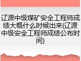 辽源中级煤矿安全工程师成绩大概什么时候出来(辽源中级安全工程师成绩公布时间)