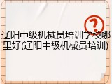 辽阳中级机械员培训学校哪里好(辽阳中级机械员培训)