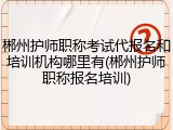 郴州护师职称考试代报名和培训机构哪里有(郴州护师职称报名培训)