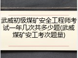 武威初级煤矿安全工程师考试一年几次共多少题(武威煤矿安工考次题量)
