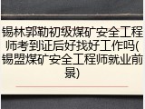 锡林郭勒初级煤矿安全工程师考到证后好找好工作吗(锡盟煤矿安全工程师就业前景)