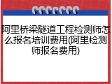 阿里桥梁隧道工程检测师怎么报名培训费用(阿里检测师报名费用)