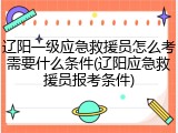 辽阳一级应急救援员怎么考需要什么条件(辽阳应急救援员报考条件)