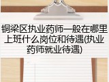 铜梁区执业药师一般在哪里上班什么岗位和待遇(执业药师就业待遇)