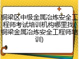 铜梁区中级金属冶炼安全工程师考试培训机构哪里找(铜梁金属冶炼安全工程师培训)