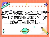 上海中级煤矿安全工程师都做什么的就业现状如何(沪煤安工就业现状)