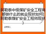 阿勒泰中级煤矿安全工程师都做什么的就业现状如何(阿勒泰煤矿安全工程师现状)