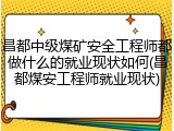 昌都中级煤矿安全工程师都做什么的就业现状如何(昌都煤安工程师就业现状)