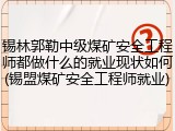 锡林郭勒中级煤矿安全工程师都做什么的就业现状如何(锡盟煤矿安全工程师就业)
