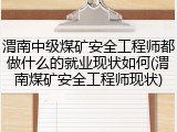 渭南中级煤矿安全工程师都做什么的就业现状如何(渭南煤矿安全工程师现状)