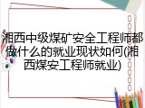 湘西中级煤矿安全工程师都做什么的就业现状如何(湘西煤安工程师就业)