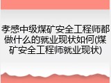 孝感中级煤矿安全工程师都做什么的就业现状如何(煤矿安全工程师就业现状)