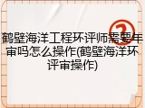 鹤壁海洋工程环评师需要年审吗怎么操作(鹤壁海洋环评审操作)