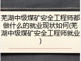 芜湖中级煤矿安全工程师都做什么的就业现状如何(芜湖中级煤矿安全工程师就业)