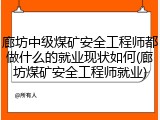 廊坊中级煤矿安全工程师都做什么的就业现状如何(廊坊煤矿安全工程师就业)