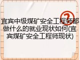 宜宾中级煤矿安全工程师都做什么的就业现状如何(宜宾煤矿安全工程师现状)
