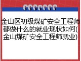 金山区初级煤矿安全工程师都做什么的就业现状如何(金山煤矿安全工程师就业)