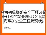 乌海初级煤矿安全工程师都做什么的就业现状如何(乌海煤矿安全工程师现状)