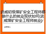 武威初级煤矿安全工程师都做什么的就业现状如何(武威煤矿安全工程师就业)