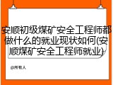 安顺初级煤矿安全工程师都做什么的就业现状如何(安顺煤矿安全工程师就业)