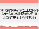 湖北初级煤矿安全工程师都做什么的就业现状如何(湖北煤矿安全工程师就业)