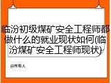 临汾初级煤矿安全工程师都做什么的就业现状如何(临汾煤矿安全工程师现状)