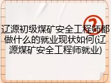 辽源初级煤矿安全工程师都做什么的就业现状如何(辽源煤矿安全工程师就业)