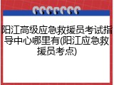 阳江高级应急救援员考试指导中心哪里有(阳江应急救援员考点)