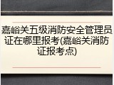 嘉峪关五级消防安全管理员证在哪里报考(嘉峪关消防证报考点)