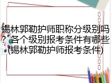 锡林郭勒护师职称分级别吗？各个级别报考条件有哪些(锡林郭勒护师报考条件)