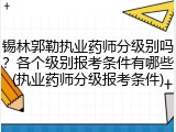 锡林郭勒执业药师分级别吗？各个级别报考条件有哪些(执业药师分级报考条件)