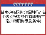 甘南护师职称分级别吗？各个级别报考条件有哪些(甘南护师职称级别条件)