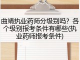 曲靖执业药师分级别吗？各个级别报考条件有哪些(执业药师报考条件)