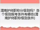 渭南护师职称分级别吗？各个级别报考条件有哪些(渭南护师职称级别条件)