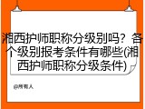 湘西护师职称分级别吗？各个级别报考条件有哪些(湘西护师职称分级条件)