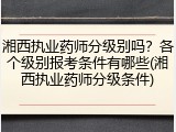 湘西执业药师分级别吗？各个级别报考条件有哪些(湘西执业药师分级条件)