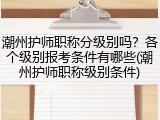 潮州护师职称分级别吗？各个级别报考条件有哪些(潮州护师职称级别条件)