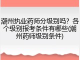 潮州执业药师分级别吗？各个级别报考条件有哪些(潮州药师级别条件)