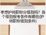 孝感护师职称分级别吗？各个级别报考条件有哪些(护师职称级别条件)