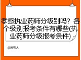 孝感执业药师分级别吗？各个级别报考条件有哪些(执业药师分级报考条件)