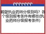 鹤壁执业药师分级别吗？各个级别报考条件有哪些(执业药师分级报考条件)