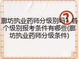 廊坊执业药师分级别吗？各个级别报考条件有哪些(廊坊执业药师分级条件)